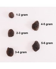 100% Natural Colombianite Pseudotaktite Gemstone Natural Raw Gemstone