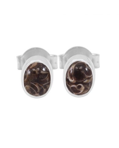 925 sterling Silver Studs Turritella Studs Light Weight Studs