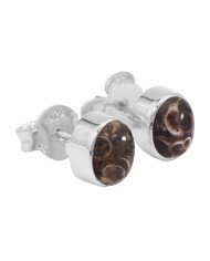 925 sterling Silver Studs Turritella Studs Light Weight Studs