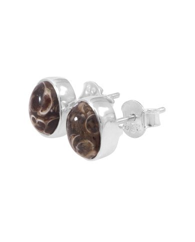 925 sterling Silver Studs Turritella Studs Light Weight Studs