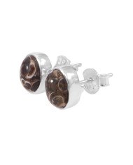 925 sterling Silver Studs Turritella Studs Light Weight Studs