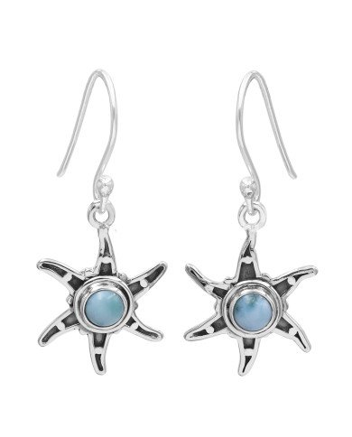 Larimar Earrings Dangle drop Earrings 925 Sterling Silver Earrings