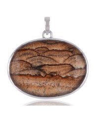 Sterling Pendants Picture Jasper and Sterling Silver Plain Locket