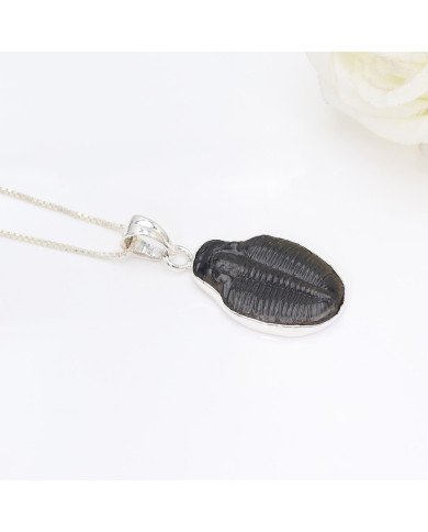 Trilobite Gemstone Pendant | 925 Sterling Silver Handmade Jewelry Gift