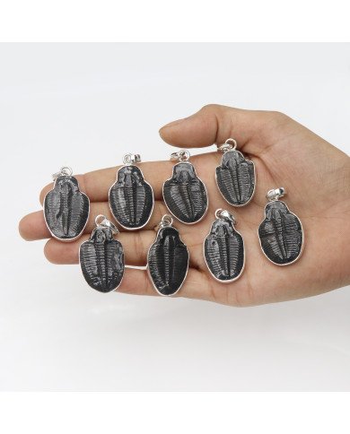 Trilobite Gemstone Pendant | 925 Sterling Silver Handmade Jewelry Gift