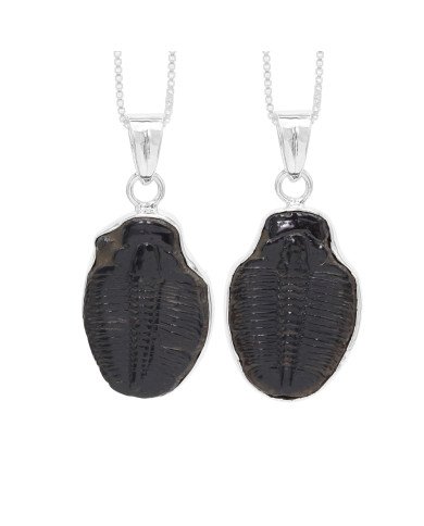 Trilobite Gemstone Pendant | 925 Sterling Silver Handmade Jewelry Gift