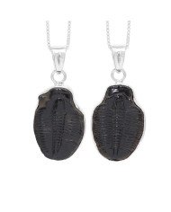 Trilobite Gemstone Pendant | 925 Sterling Silver Handmade Jewelry Gift