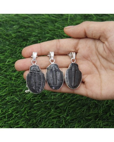 Trilobite Gemstone Pendant | 925 Sterling Silver Handmade Jewelry Gift