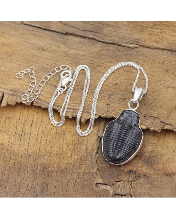 Trilobite Gemstone Pendant | 925 Sterling Silver Handmade Jewelry Gift