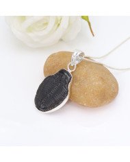 Trilobite Gemstone Pendant | 925 Sterling Silver Handmade Jewelry Gift