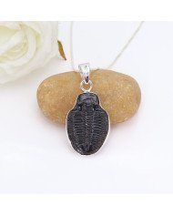 Trilobite Gemstone Pendant | 925 Sterling Silver Handmade Jewelry Gift