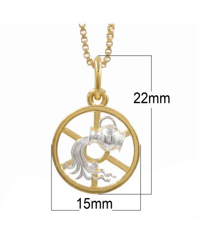Two Tone Aquarius Zodiac Pendant | 925 Sterling Silver Astrology Gift