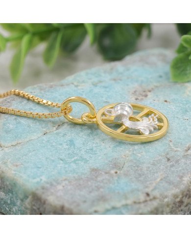 Two Tone Aquarius Zodiac Pendant | 925 Sterling Silver Astrology Gift