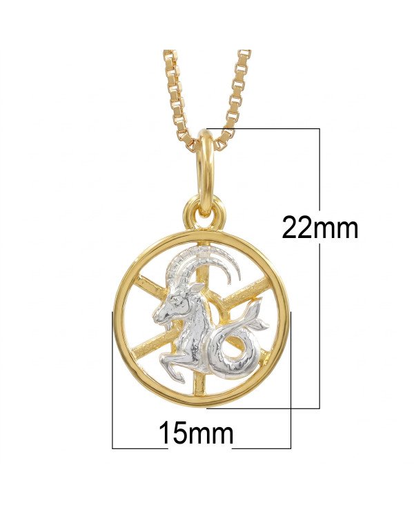 Two Tone Capricorn Zodiac Pendant | 925 Sterling Silver Astrology Gift