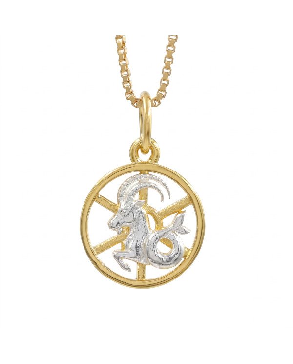 Two Tone Capricorn Zodiac Pendant | 925 Sterling Silver Astrology Gift