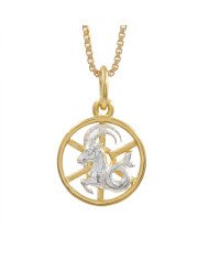 Two Tone Capricorn Zodiac Pendant | 925 Sterling Silver Astrology Gift