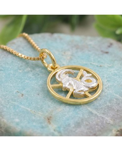 Two Tone Capricorn Zodiac Pendant | 925 Sterling Silver Astrology Gift