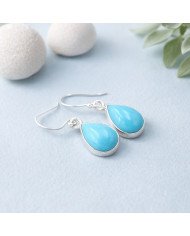 Natural Arizona Turquoise Gemstone 925 Sterling Silver Earring| Jewels Artisan