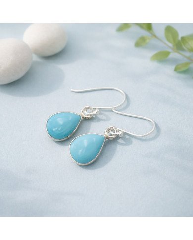 Natural Arizona Turquoise Gemstone 925 Sterling Silver Earring| Jewels Artisan