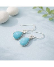 Natural Arizona Turquoise Gemstone 925 Sterling Silver Earring| Jewels Artisan
