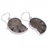 Natural Pyarite Ammonite Gemstone 925 Sterling Silver Earring| Jewels Artisan