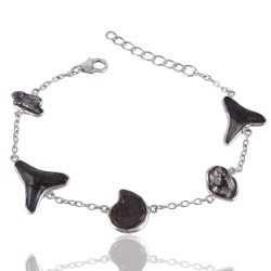 Fossil Ammonite Shark Tooth and Meteorite Sterling Silver Bracelet