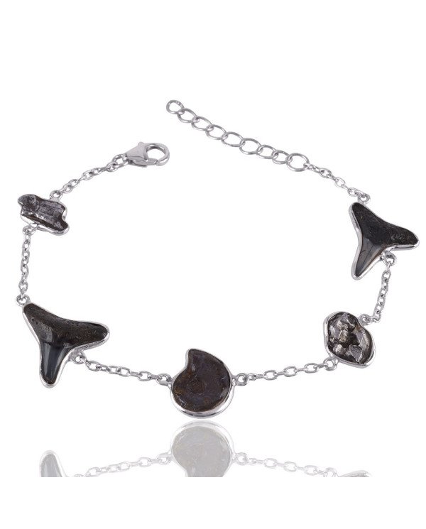Fossil Ammonite Shark Tooth and Meteorite Sterling Silver Bracelet