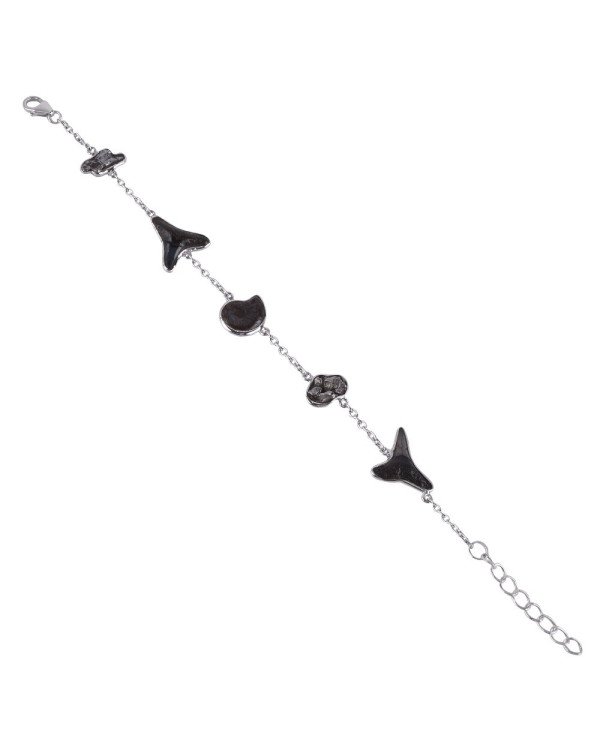 Fossil Ammonite Shark Tooth and Meteorite Sterling Silver Bracelet