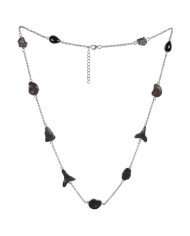 Natural Tektite Hematite Ammonite Meteorite Sark Teeth And Black Onyx Gemstone Sterling Silver Necklaces | Jewels Artisan