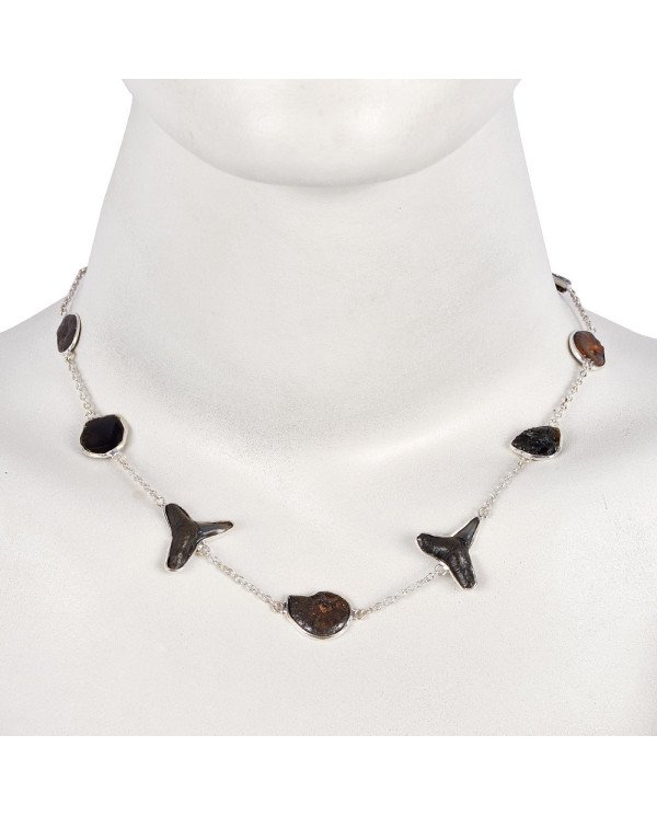 Natural Tektite Hematite Ammonite Meteorite Sark Teeth And Black Onyx Gemstone Sterling Silver Necklaces | Jewels Artisan